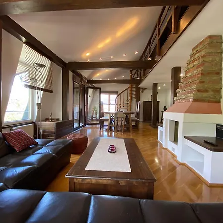 Apartment Penthouse Pensiunea Casa Bono