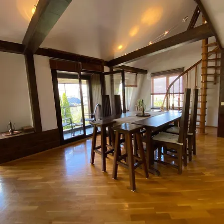 Apartment Penthouse Pensiunea Casa Bono