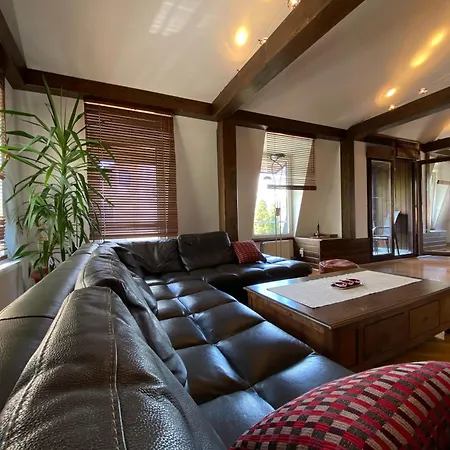Apartment Penthouse Pensiunea Casa Bono *