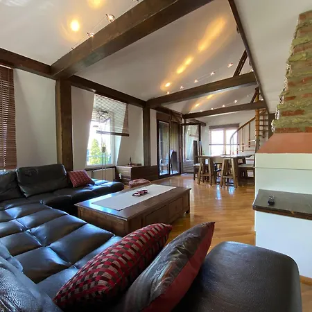 Penthouse Pensiunea Casa Bono *