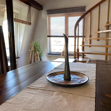 Apartment Penthouse Pensiunea Casa Bono *