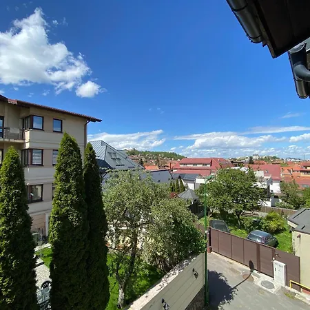 Apartment Penthouse Pensiunea Casa Bono *