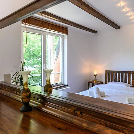 Penthouse Pensiunea Casa Bono Apartment *