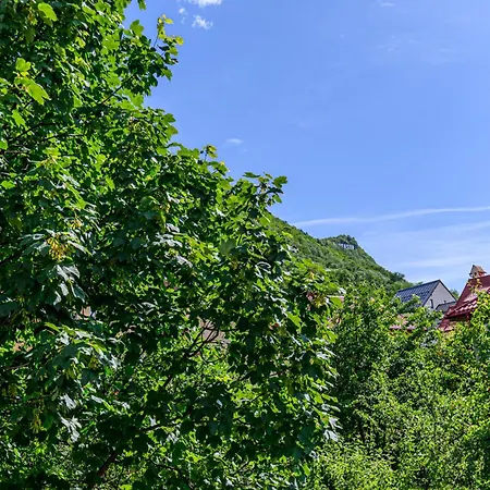 Penthouse Pensiunea Casa Bono Brasov