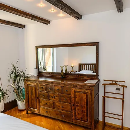 Apartment Penthouse Pensiunea Casa Bono *