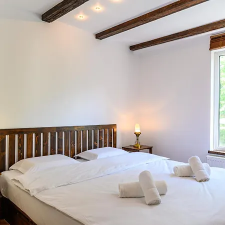 Penthouse Pensiunea Casa Bono Apartment Brasov