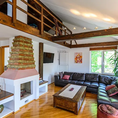 Apartment Penthouse Pensiunea Casa Bono Brasov